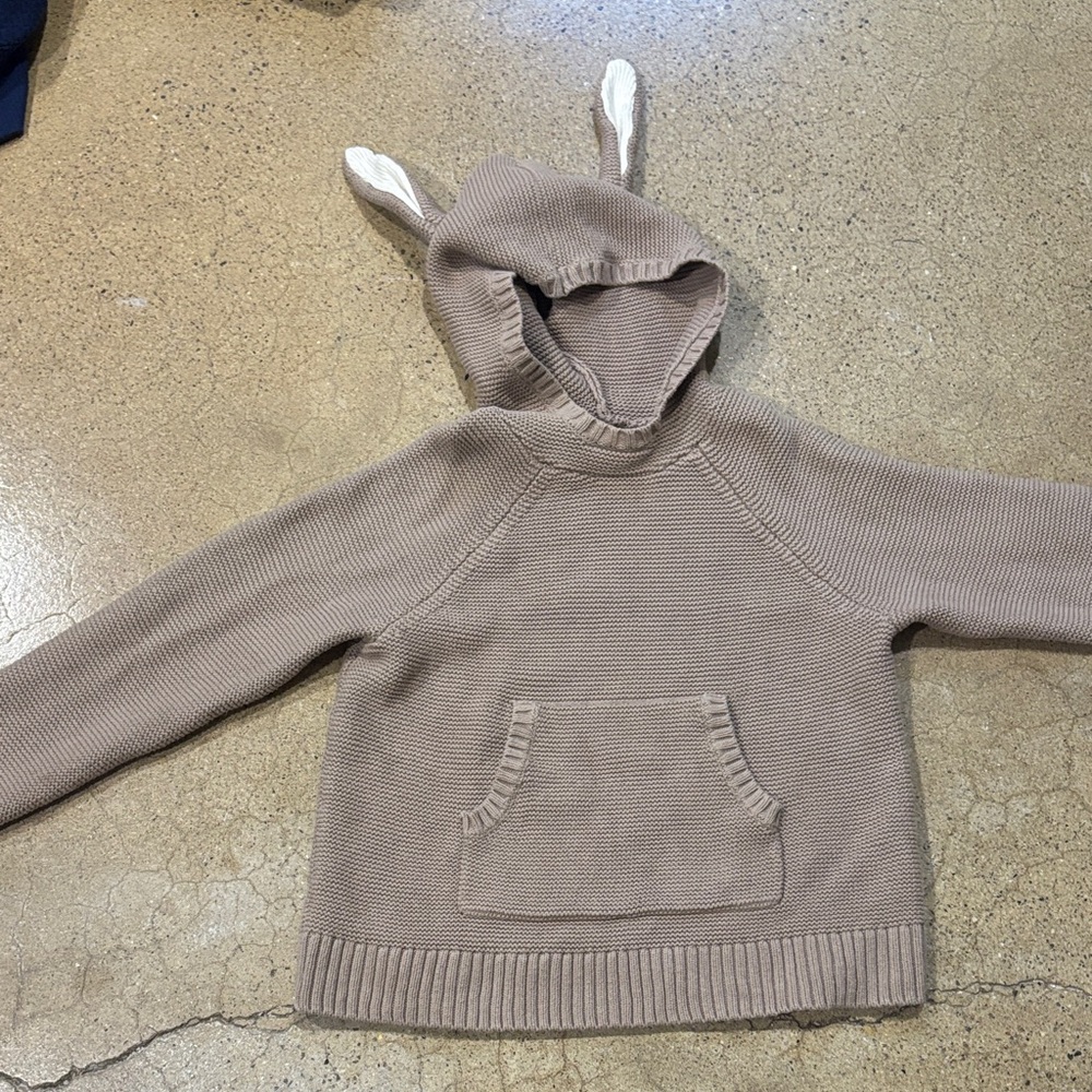 Brown/Tan Kids Hoodie with Ears